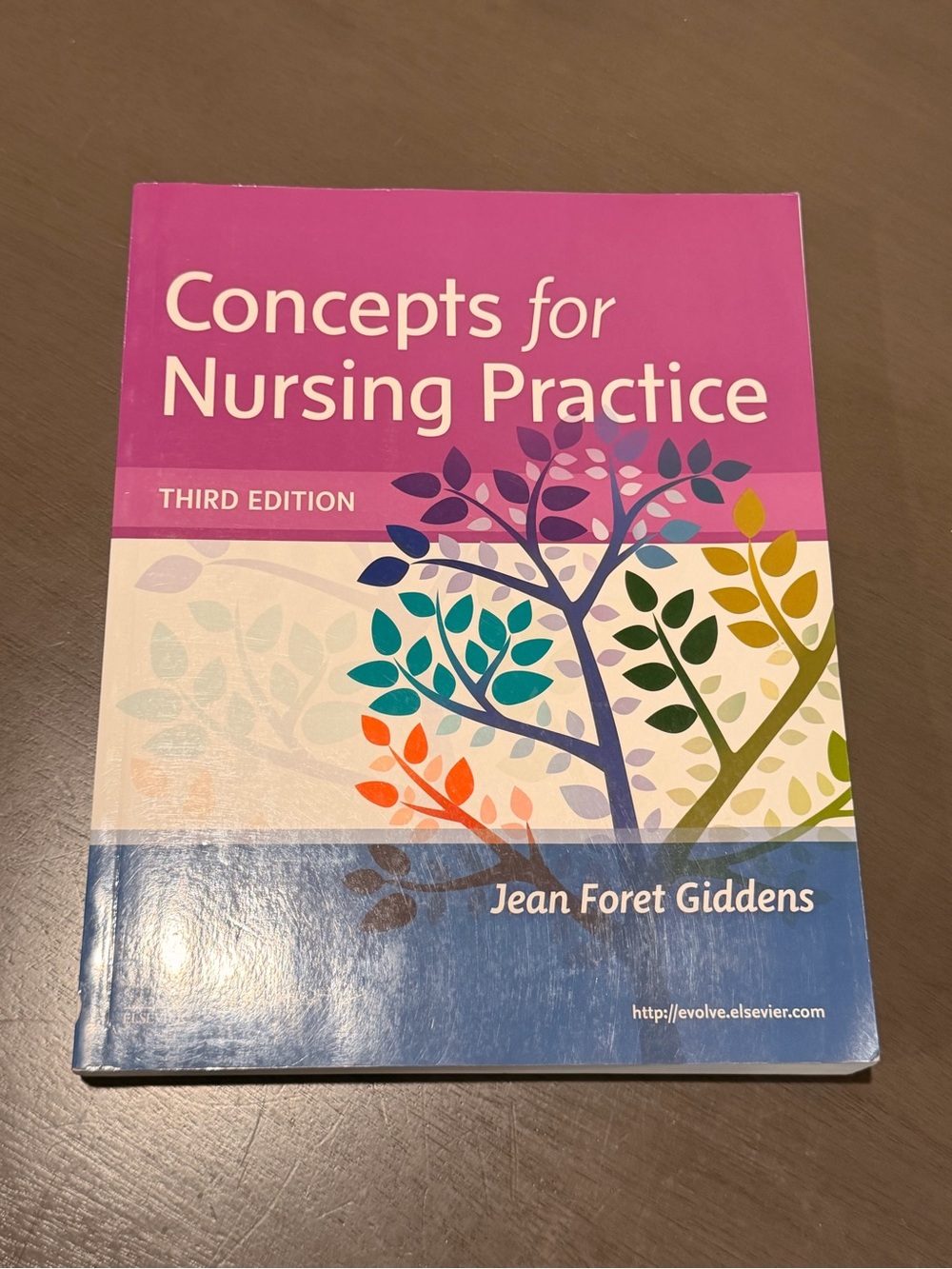 “Concepts for Nursing Practice (3rd Ed.)” by Jean Foret Giddens (Paperback)